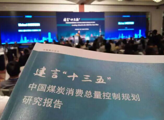 南北供暖大作戰(zhàn)，瑞馬壁掛爐品牌破其局11