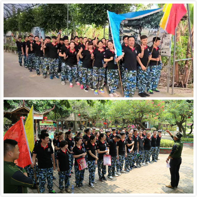 激情瑞馬展活力，凝心聚力瑞馬夢(mèng)66